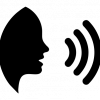 Voice Command Support